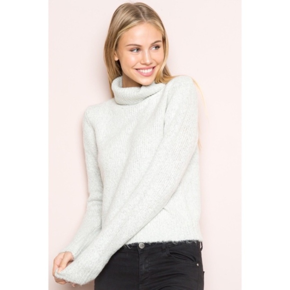 Brandy Melville Light Grey Cassia turtleneck